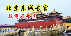 亚洲啪视频中国北京-东城古宫旅游风景区